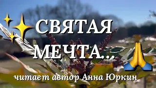 СВЯТАЯ МЕЧТА🙏 #христианский #стих (читает автор Анна Юркин)