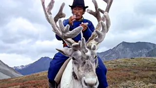 The Tsaatan and the Sacred Reindeers - Lords of the animals