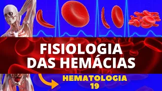 HEMÁCIAS - FISIOLOGIA E ESTRUTURA (PLASMA E GLÓBULOS VERMELHOS) - HEMATOLOGIA