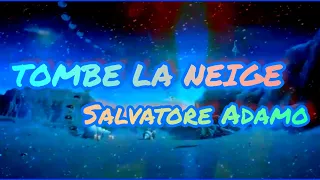 TOMBE LA NEIGE... SALVATORE ADAMO - ПАДАЕТ СНЕГ... САЛЬВАТОРЕ АДАМО.ПЕСНИ УШЕДШЕГО ВЕКА...💖 357.