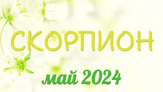 Скорпион май 2024. Гороскоп на май для Скорпионов. Деньги и удача в финансовых делах!