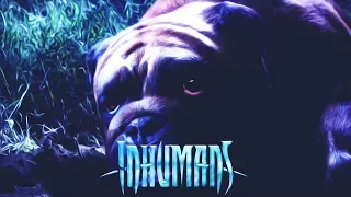 Reaction | 3 серия 1 сезона "Сверхлюди/Нелюди/Inhumans"