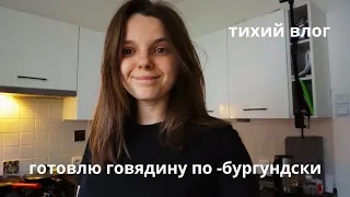 тихий влог / живу после РПП