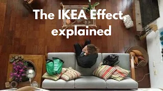 The IKEA Effect, explained