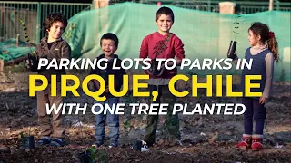 Planting Trees in Pirque, Chile | One Tree Planted