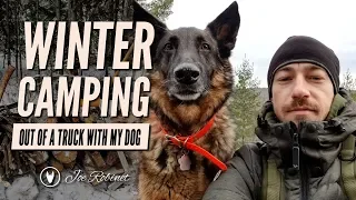 Winter Camping With my Dog out of a TRUCK!