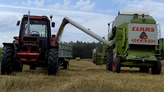 Żniwa 2017 - GoPro Hero / HD Case IH / 2xClaas 2xJohn Deere - Ursus c-330