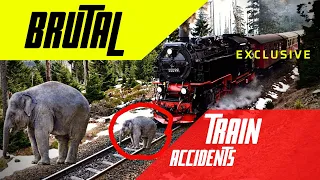 🔥 Animals That Hit By Train -  Animals vs Train Fatal Crash Compilation