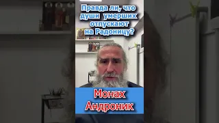 Монах Андроник | Правда ли, что души умерших отпускают на Радоницу? | Афон