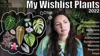My Wishlist plants / 2022 / Monstera, Anthurium, Hoya, Alocasia, Philodendron, etc