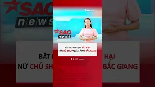 Bắt nghi phạm sát hại nữ chủ shop quần áo ở Bắc Giang | SAONews