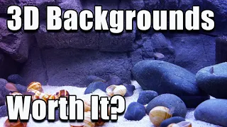 The Truth About 3D Aquarium Backgrounds - Are They Really Worth It?