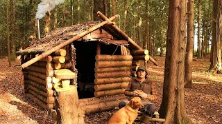 Building A Log Cabin in 5 Days - Off Grid Bushcraft Project In A Woodland | Wood Stove | Bed | Chair