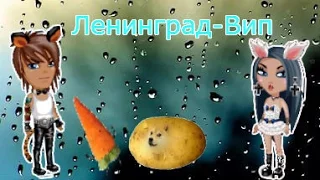 КЛИП ЛЕНИНГРАД - ВИП || СМОТРЕТЬ ДО КОНЦА || NadyaTV