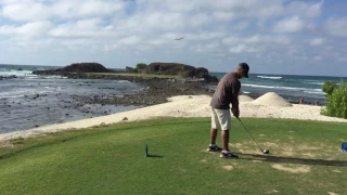 A most unlikely "birdie": bird hit in mid-flight with golf ball