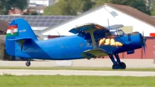Antonov AN-2 * Extreme Exhaust Flames during Landing!