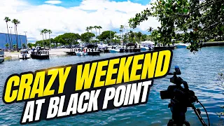 BLACK POINT MARINA with Alfred Montaner | Chit Show