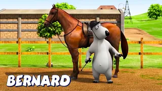 Медвежонок Бернард | На коне! и многое другое | Мультфильмы для детей | Полные эпизоды