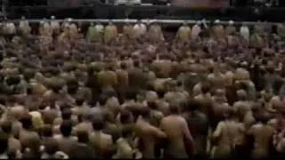 Rollins Band live @ Woodstock 94