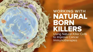 Working with Natural Born Killers: Using Natural Killer Cells to Improve Cancer Immunotherapies