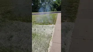 Burning cottonwood tree pollen So satisfying 😊