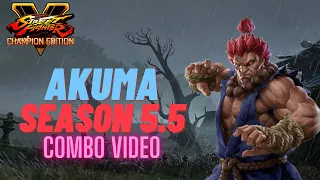 Street Fighter V season 5.5 - EPIC Akuma combo video