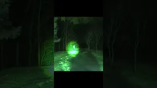 Confronted possible murderer while in the creepy forest using crazy app! #shorts