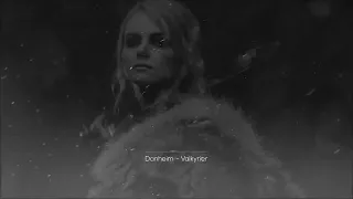 Danheim - Valkyrier | Viking Music