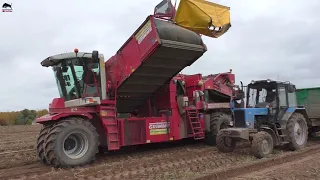 Такую ТЕХНИКУ вы точно НЕ ВИДЕЛИ! На уборке картофеля Grimme EVO 290, Grimme SF 150-60.