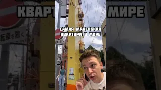 Самая маленькая квартира в мире🔥 #shortsclip #токио #квартира #youtube