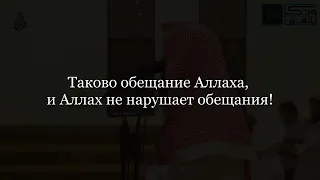 чтец: Мухаммад Люхайдан, сура Аз-Зумар | Толпы аят 18-23