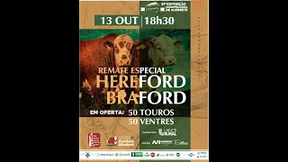 Expofeira Alegrete - Remate Hereford e Braford