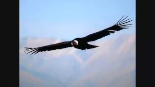 Los Fronterizos - El Condor Pasa