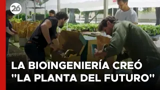 La bioingeniería creó "la planta del futuro" | #26Global