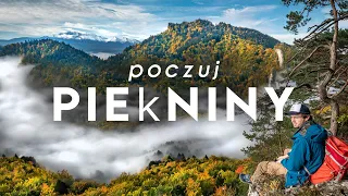 Pieniny Jesienią! Samotnie przez pienińskie szczyty. PIEKNIE, ŻE HEJ! 🚶‍♂️🐑 Silent Hiking