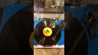 Pro -Ject Debut carbon (Turntable )