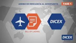 DICEX - Importación Aérea