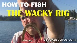How to Fish a Wacky Rig for Bass | Bass Fishing