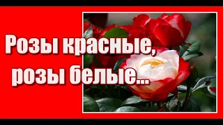 "Розы красные, розы белые.." Поздравление для любимой в день рождения. С днём рождения, моя любимая!