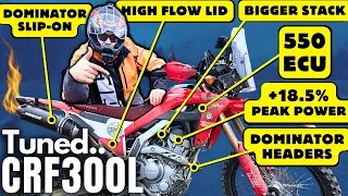 CRF300 + Exhaust, ECU & Airbox Mods (WILD & Affordable!)