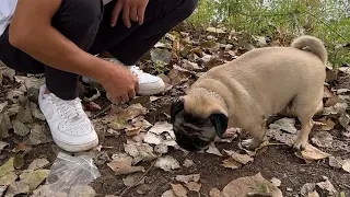 你看我们家的这个饵料判官怎么样