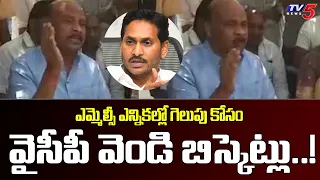 TDP Ayyanna Patrudu Fires On AP CM YS Jagan Over MLC Elections | TV5 News