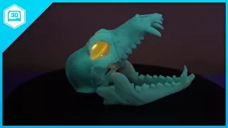 Wolf Skull - Time-lapse Tuesday