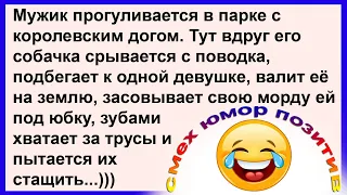 Дог зубами хватает её за трусы и пытается их стащить... Смех! Юмор! Позитив!