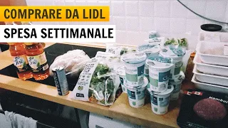 COSA COMPRARE DA LIDL - SPESA SETTIMANALE 🍎🍵🍗