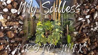 SOILLESS AROID POTTING MIX! - My AROID Potting Mix Recipe