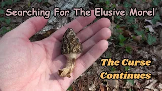 Searching For The Elusive Morel ~ The Curse Continues