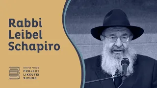 Vol 11 - Vaera 2 - Rabbi Leib Schapiro