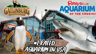 RIPLEY'S AQUARIUM OF THE SMOKIES #1 IN USA (Full Tour) Gatlinburg TN