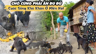 CUỘC SỐNG CƠ CỰC CỦA ĐỒNG BÀO MIỀN NÚI ĐẾN CHÓ CŨNG PHẢI ĂN ĐU ĐỦ